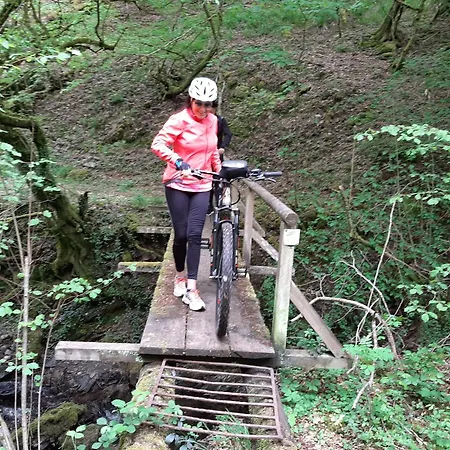 شقة Residenz Moselstausee *