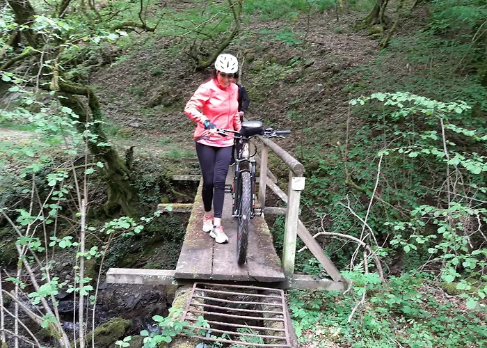 Lejlighed Residenz Moselstausee *